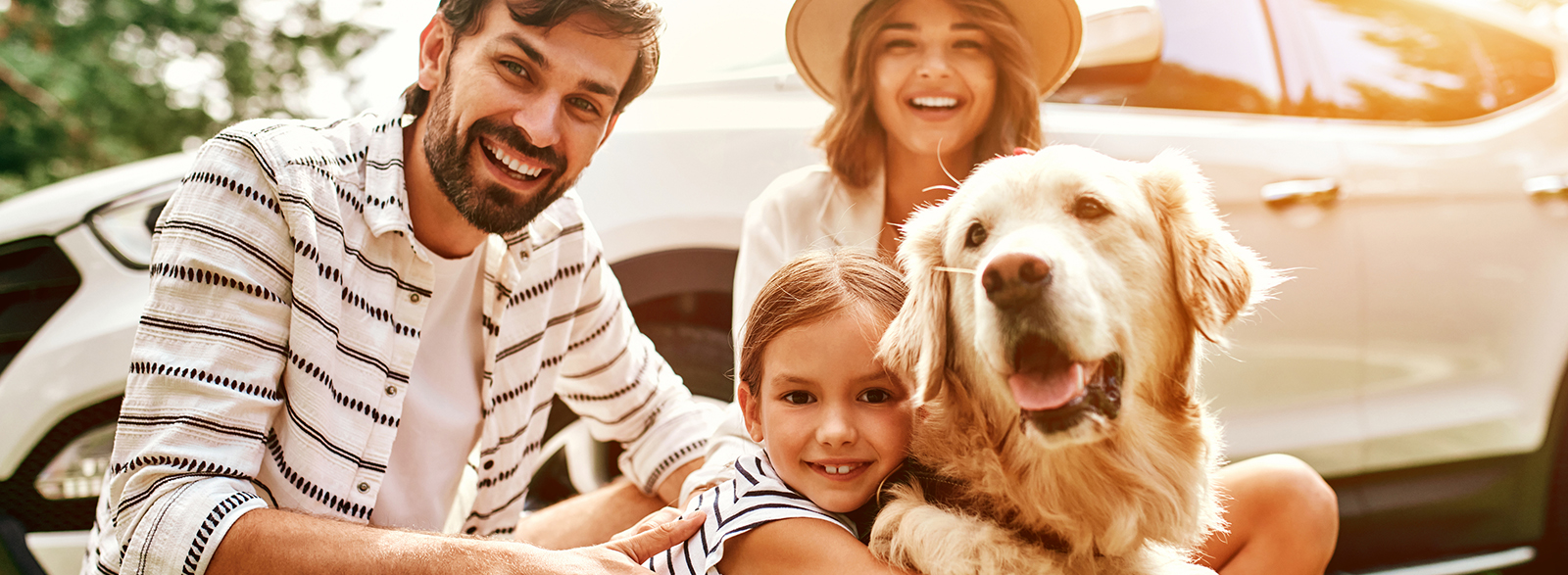 Central Virginia FCU Visa credit cards in purple, black, silver, gold and green card designs.